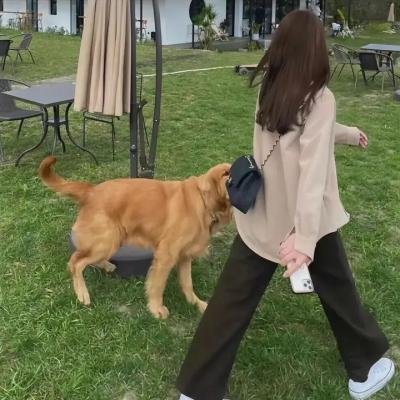 藏海传