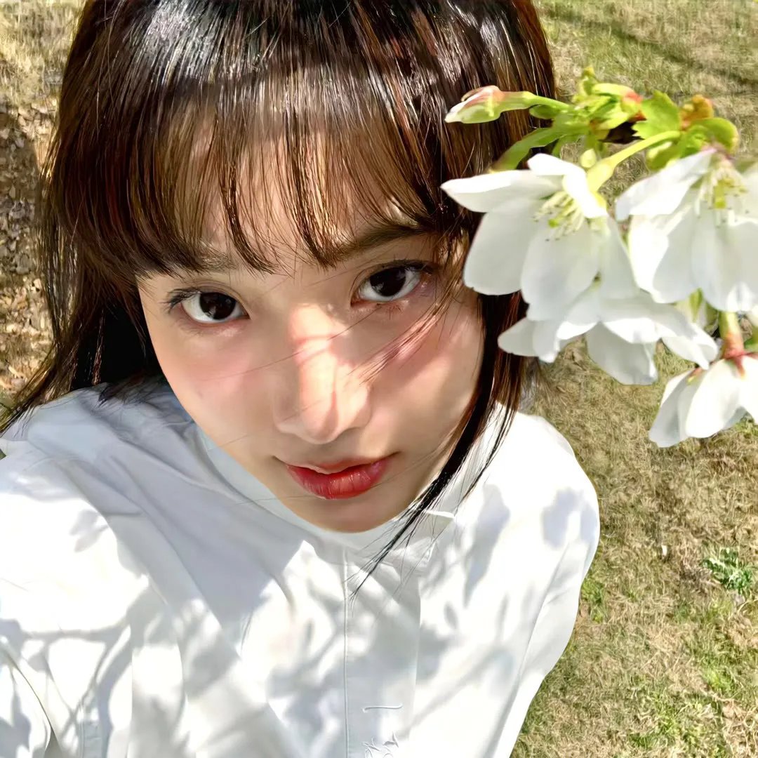 凭火决狱