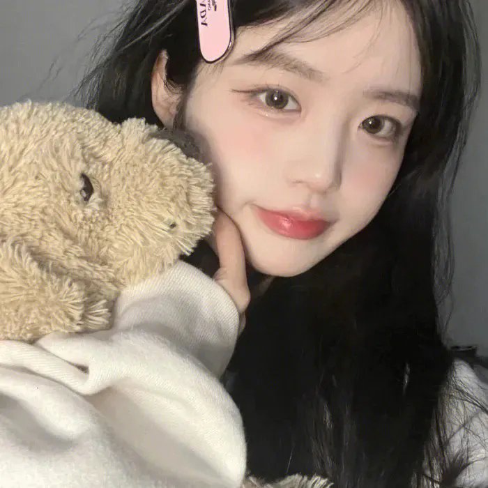 加菲猫家族